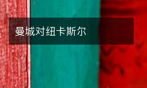 曼城對紐卡斯爾