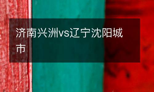 濟(jì)南興洲vs遼寧沈陽(yáng)城市